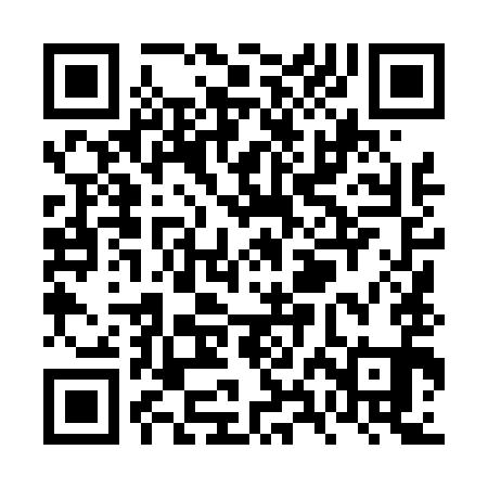 QR code for VXL491