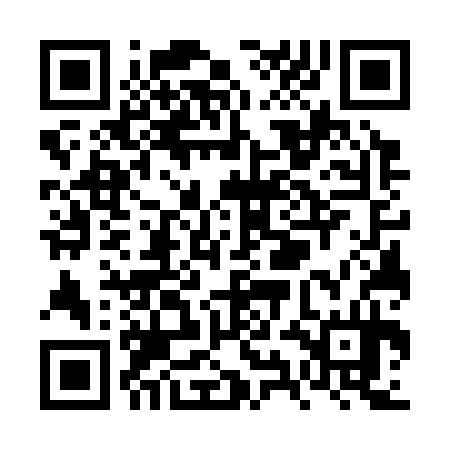 QR code for VYG334