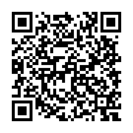 QR code for VYN511