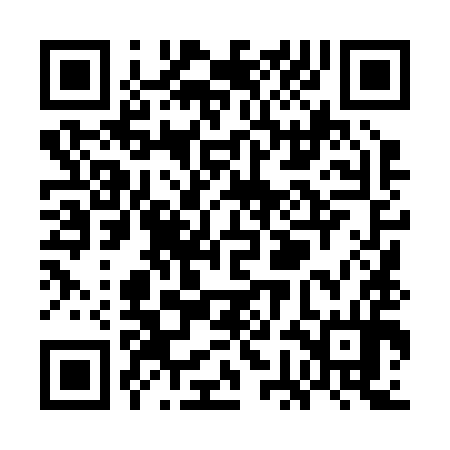 QR code for WGL294