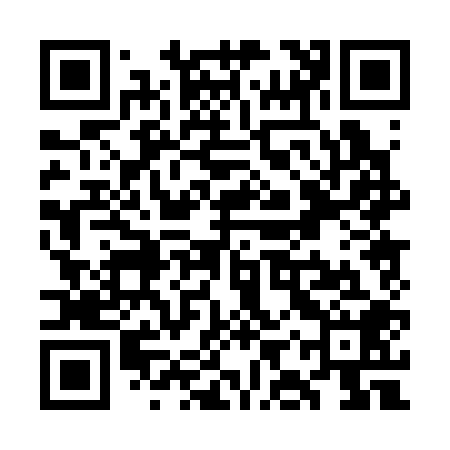 QR code for WIP308