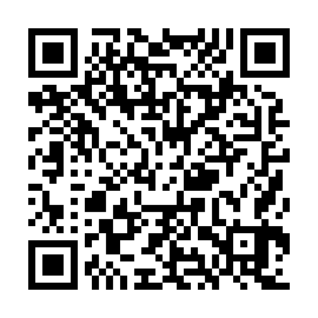 QR code for WIP863