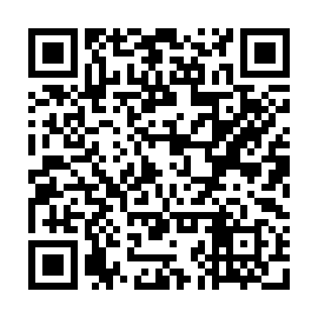 QR code for WJX398