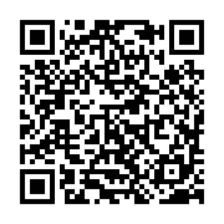 QR code for WKZ295