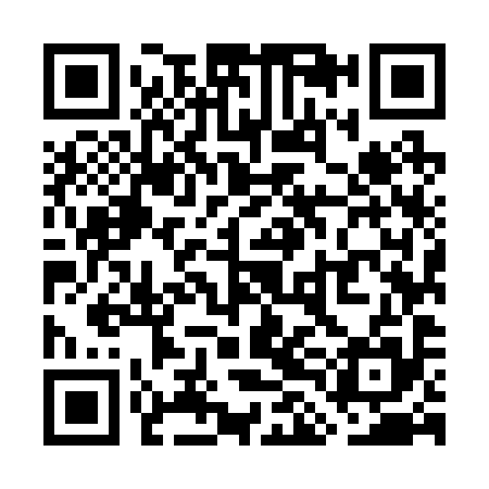 QR code for WLM295