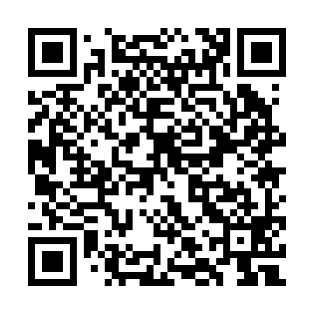 QR code for WLQ299