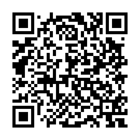 QR code for WSI011