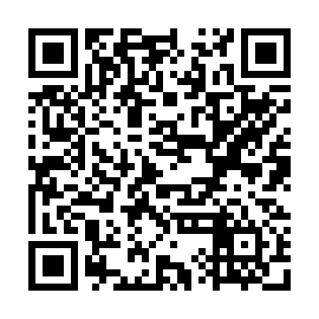QR code for WYJ234