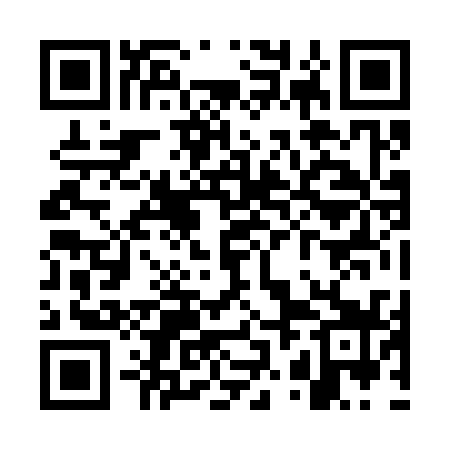 QR code for WZJ339