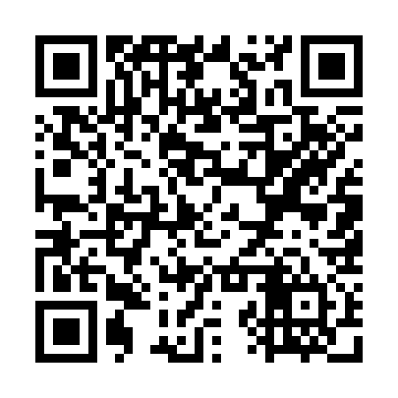 QR code for WZU334