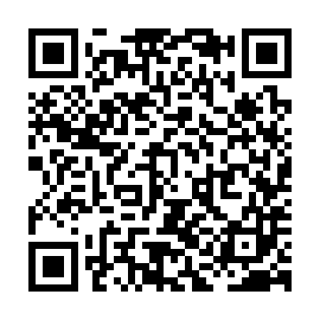 QR code for XAG383