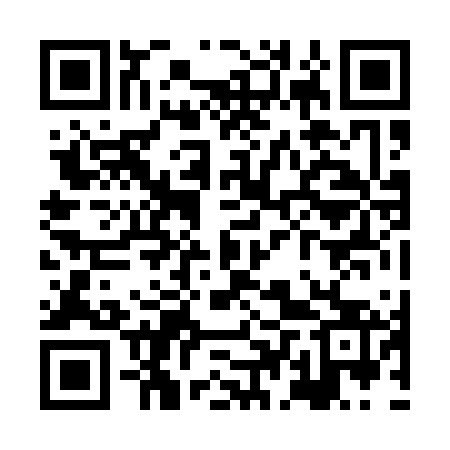 QR code for XDZ163