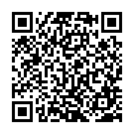 QR code for XGO386