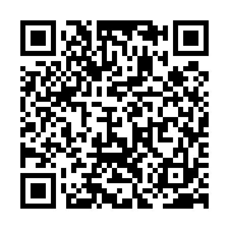 QR code for XGS533