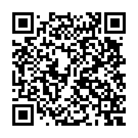 QR code for XIB425