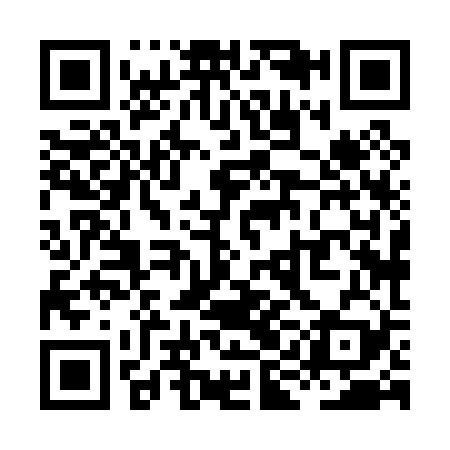 QR code for XIH029