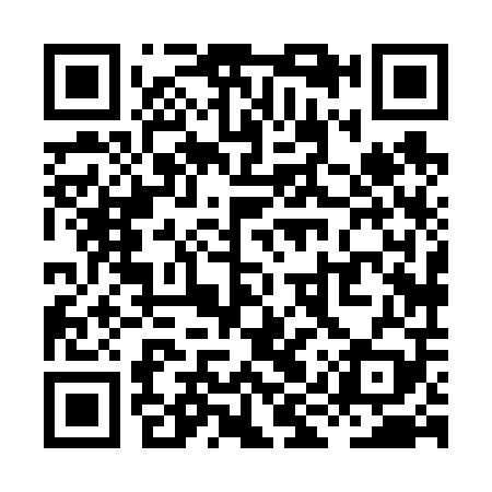 QR code for XIX609