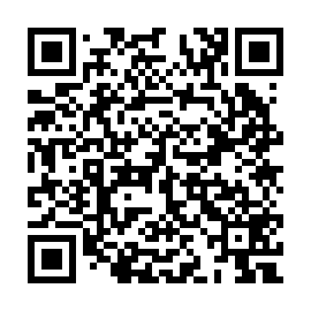 QR code for XJK259