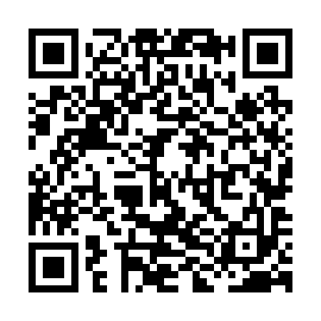 QR code for XLN293