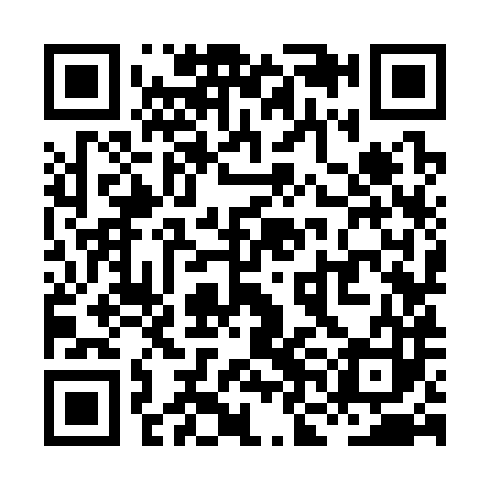 QR code for XNK383