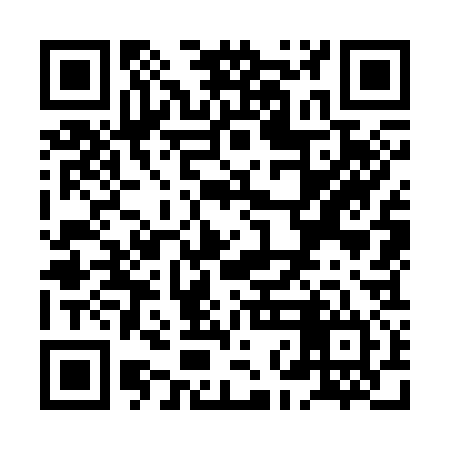 QR code for XNO334