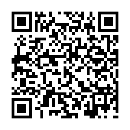 QR code for XPU393
