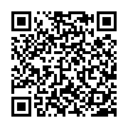 QR code for XQL529