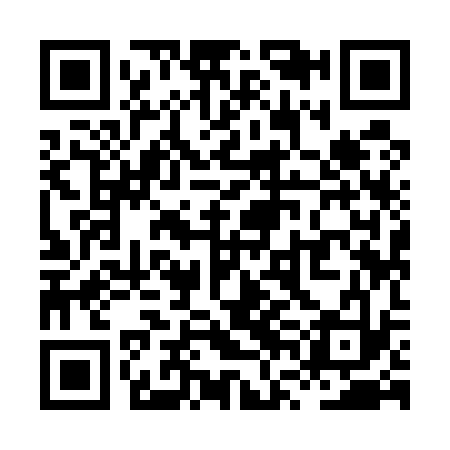 QR code for XVI533