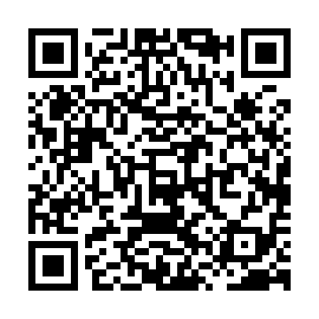 QR code for XVP919