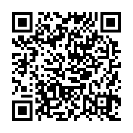 QR code for XVZ335