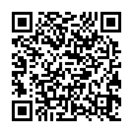 QR code for XYG333