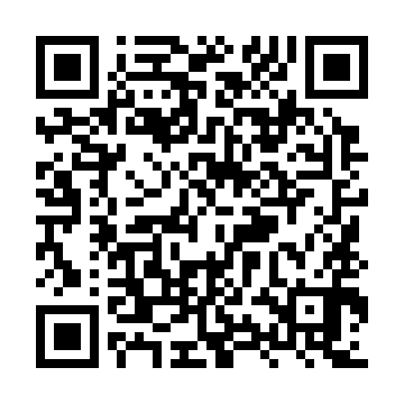 QR code for XYL390