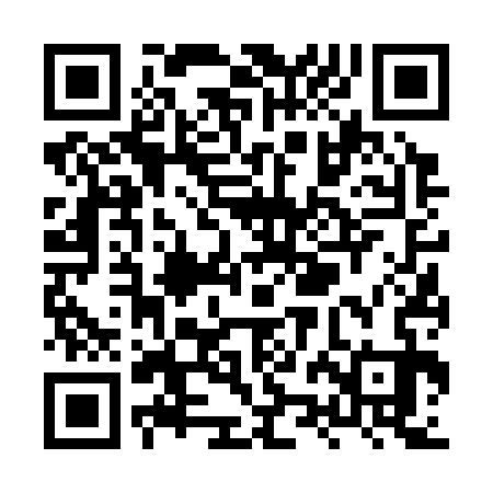 QR code for XZF333