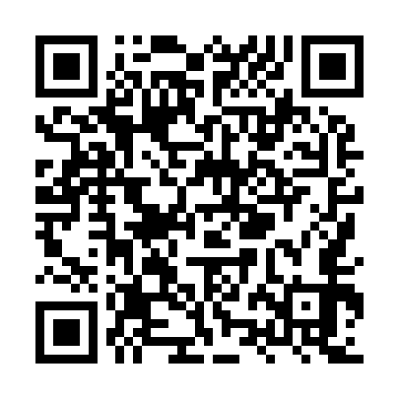 QR code for XZH953