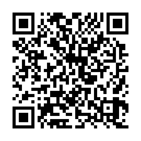 QR code for XZZ369