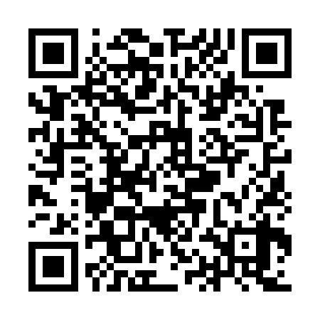 QR code for YAN738