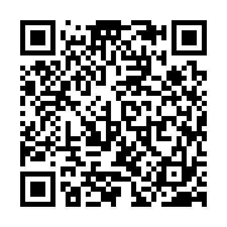 QR code for YAY333