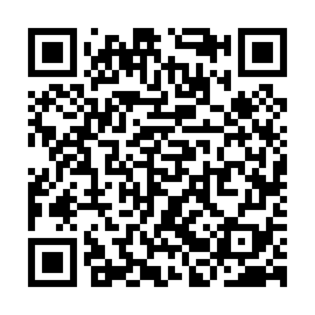 QR code for YBV079