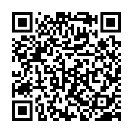 QR code for YBV338