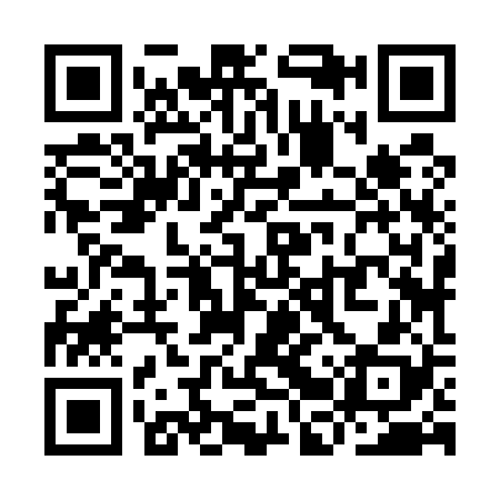 QR code for YBZ528