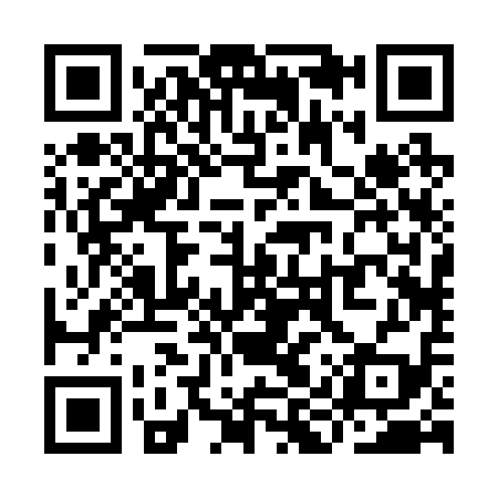 QR code for YIR219