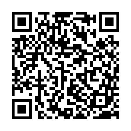 QR code for YLI243