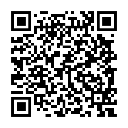 QR code for YLL095