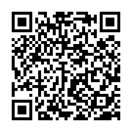 QR code for YLL538