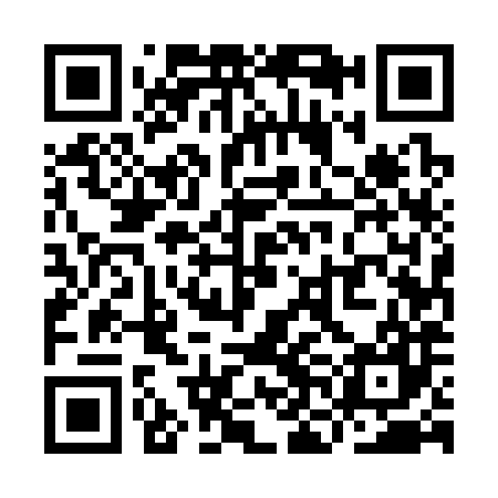 QR code for YNE387