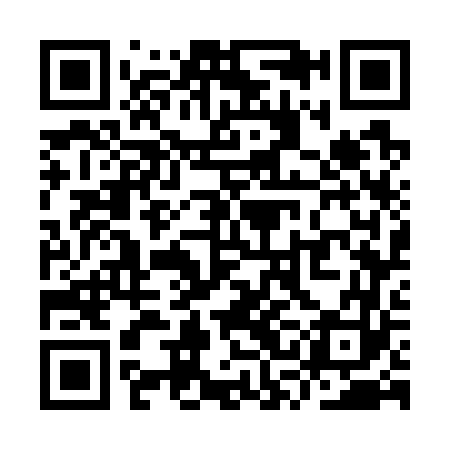 QR code for YSG763
