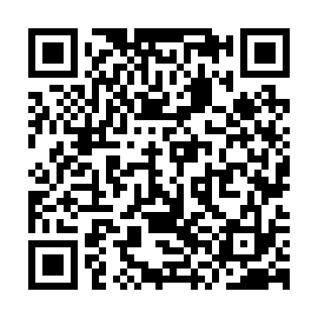 QR code for YVN233