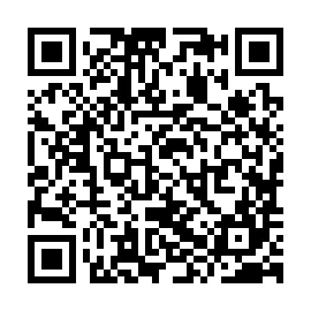 QR code for YXZ384