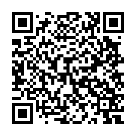 QR code for YYR063