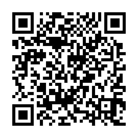 QR code for YZD311